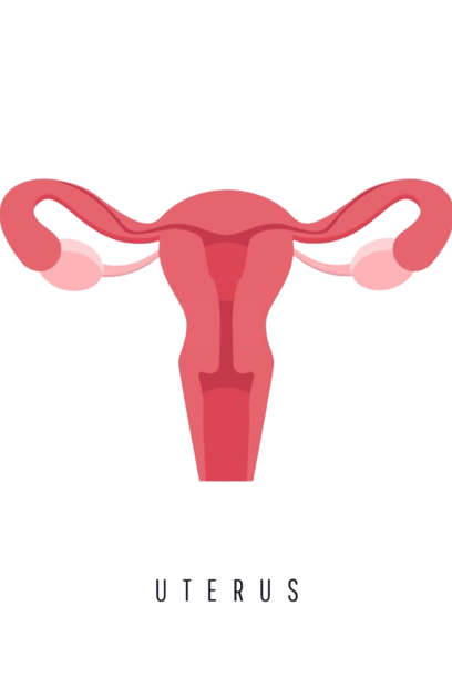 Uterine Cancer